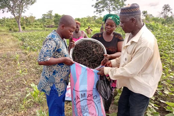 Réussir le processus de transition agroécologique au Bénin: la recette de Rikolto 