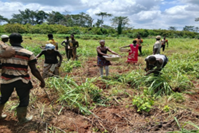 Des femmes révolutionnent les services agricoles
