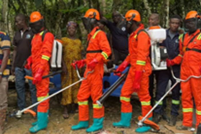 Des producteurs formés à un meilleur traitement des exploitations cacaoyères