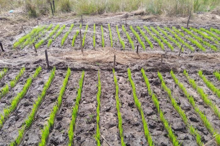 Projet d'appui à une agriculture résiliente et à la construction des systèmes alimentaires durables