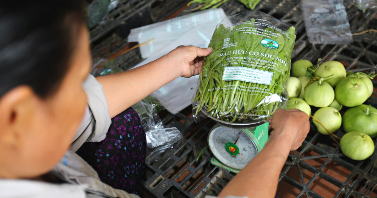 PGS recognition in Vietnam a success story on safe food for cities