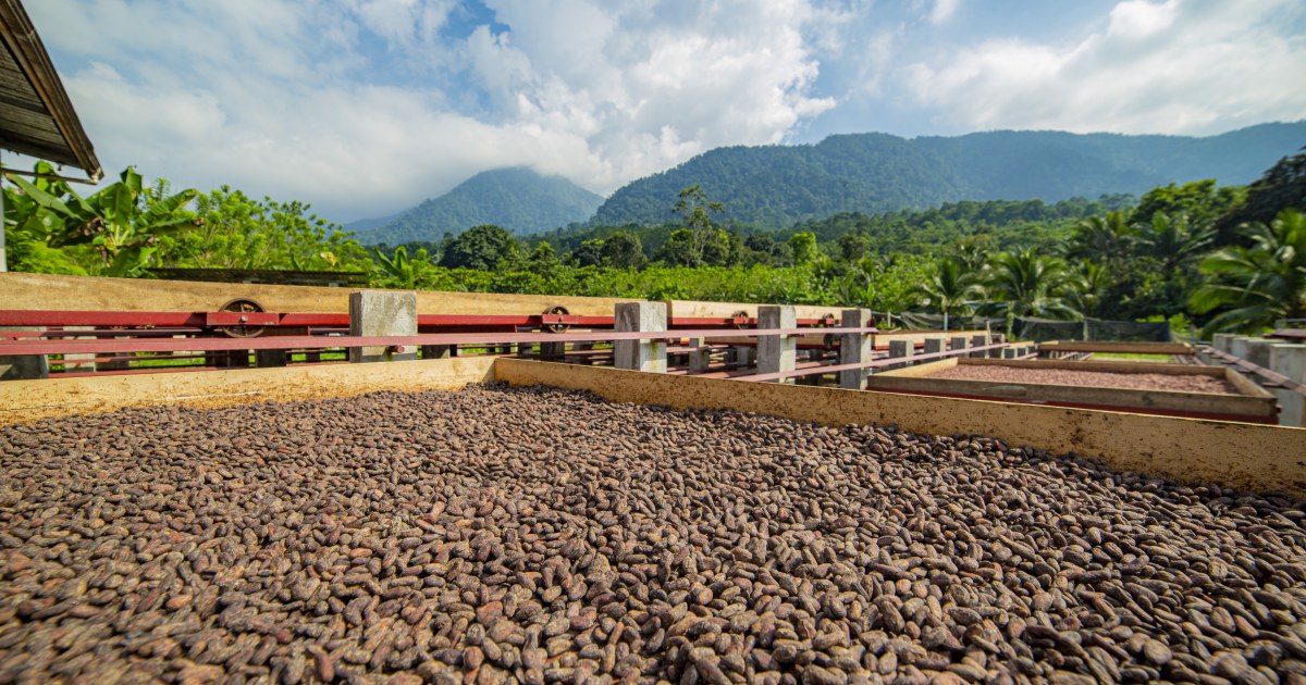 Cocoa Barometer 2022 governance policies and purchasing practices are