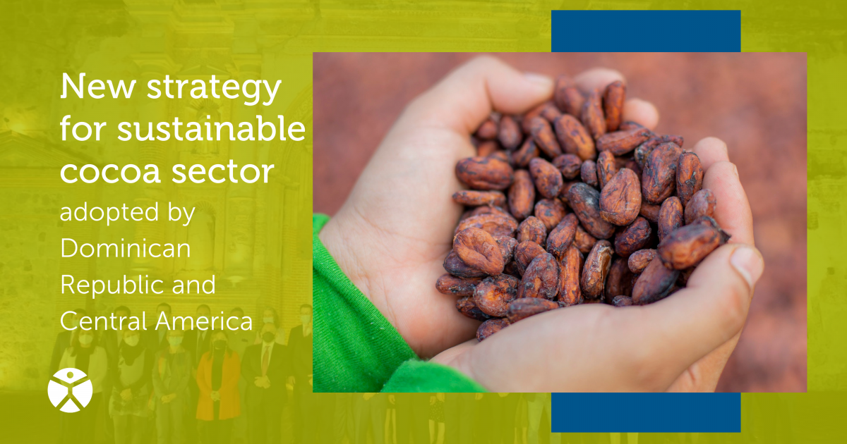 New strategy for sustainable cocoa adopted by Dominican Republic and