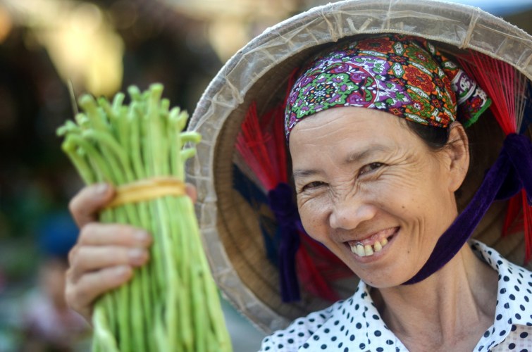 Biologische groenten in Vietnam