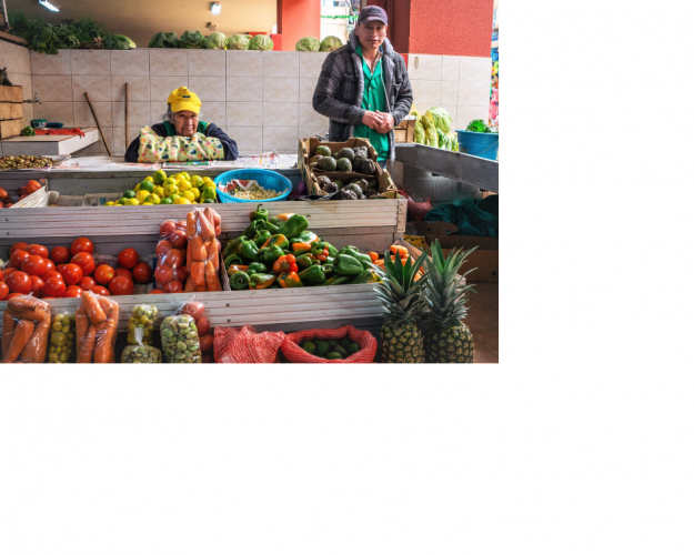 Affordable quality food for Quito's consumers