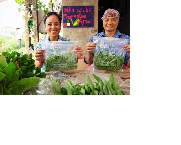 Towards safe and sustainable food in Da Nang