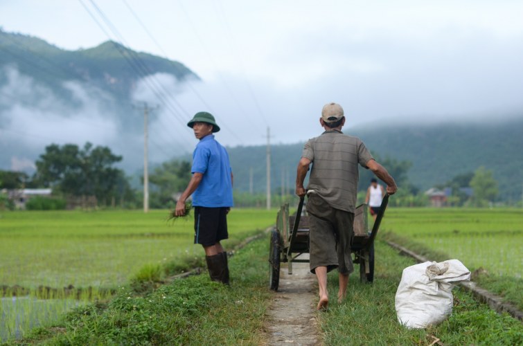 Meer weten over het Rikolto programma in Vietnam?