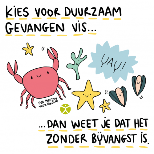 Kies voor duurzame vis duurzame vis