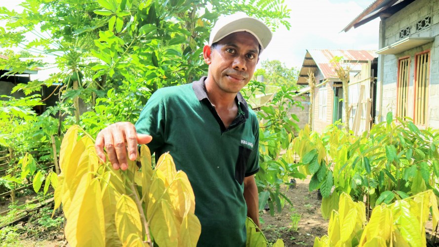 In Indonesië helpt Rikolto jonge boeren hun plek in de landbouwsector te veroveren via duurzame cacaoteelt.