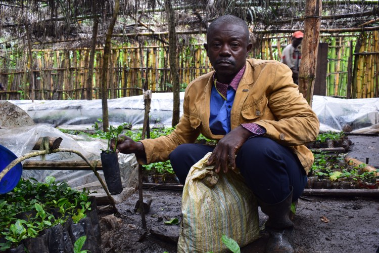 Mutaghanza est le seul pépiniériste à faire du bouturage