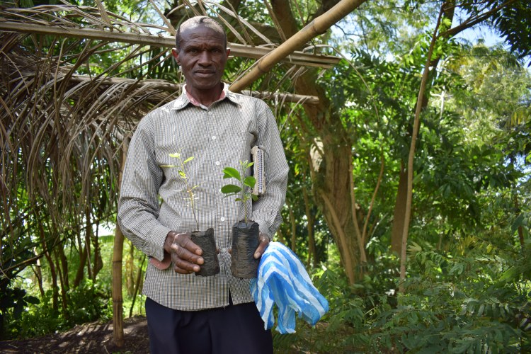Malegha, l'homme qui fabrique lui-même les sachets pour ses plantules