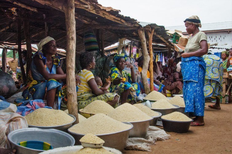 West African rice farmers reconquering the local rice market | Rikolto ...