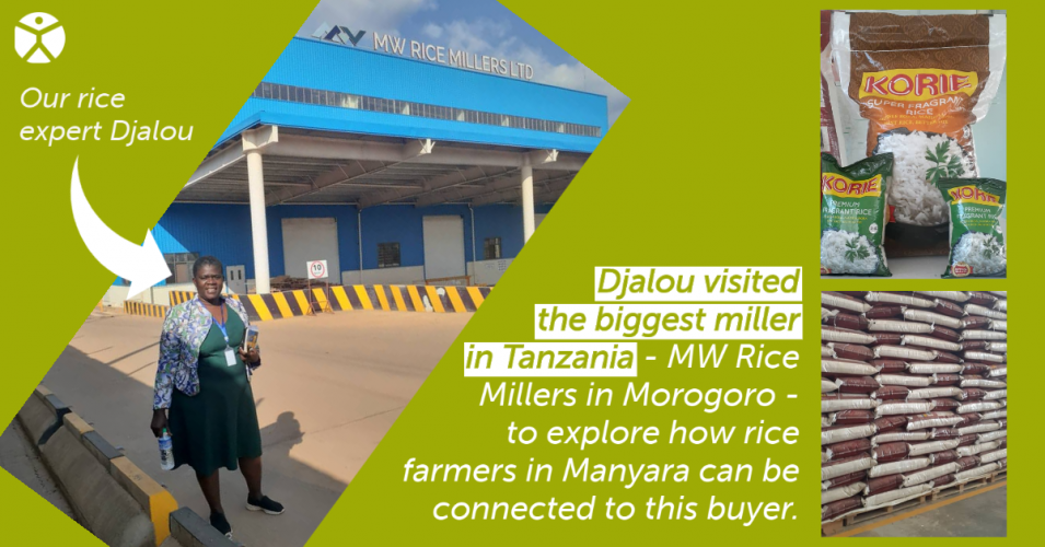 Djalou visiting MW Rice Millers in Morogoro.